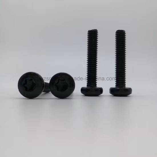 Torx Screw Pan Head Screws T30